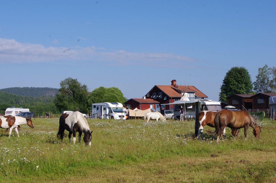 Sun Dance Ranch Bed and Breakfast Ekshärad Exterior foto